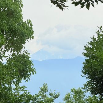 うっすら富士山が見えた🙌🏻