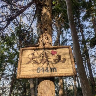 まずは大森山。可愛らしい♡