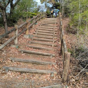 階段をいくつも登って行きます。
これが大変キツイわね。
山だからと仲間が言います。
分かってるわよ。と反撃します。
憎たらしい。