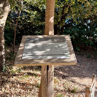 分岐を右に進んで、八俵山。