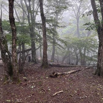 メイン目的地の黒岳とは反対方向に進み、本日最初のピークに到達。