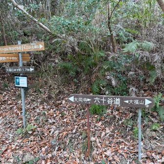 紀泉アルプス・飯盛山・ボンデン山 分岐