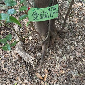 あいだけ山ではなくおだけ山。