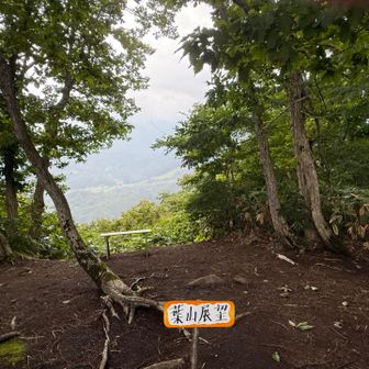 葉山は雲の中