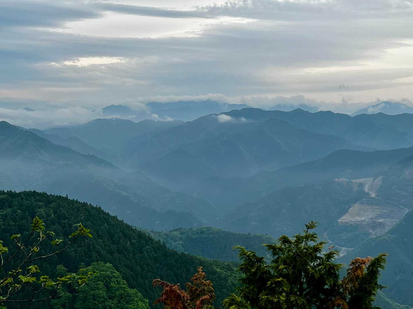 丹沢