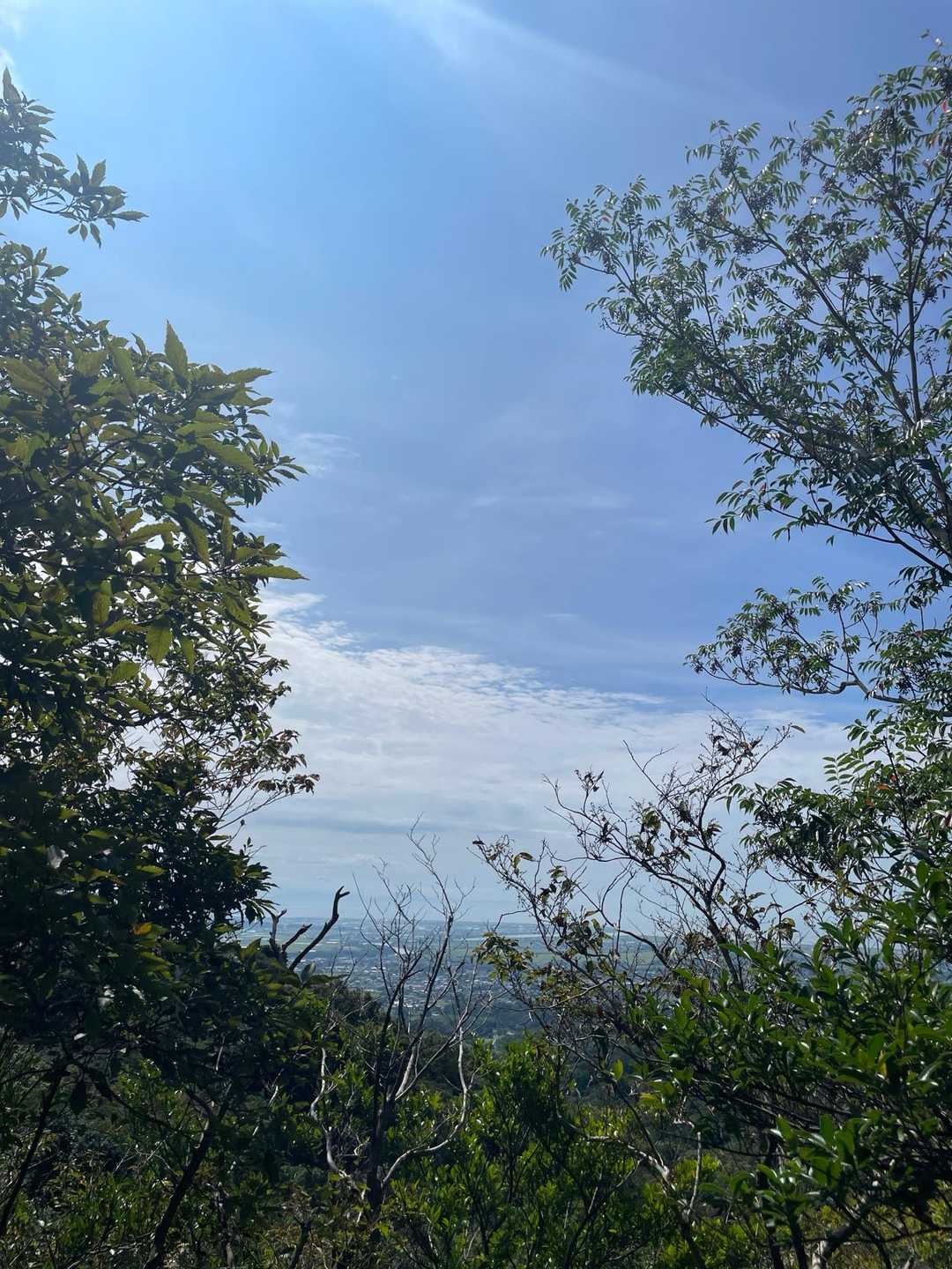 曇り空から青空に変わってきた！