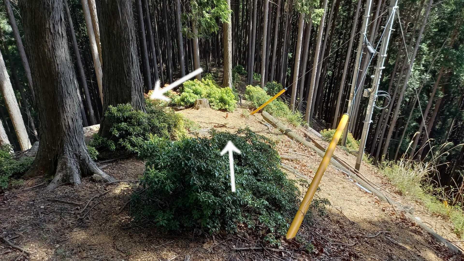 10m下って左手前に戻ります！
ここは気を付けないと尾根伝いに真っ直ぐ行ってしまいます！