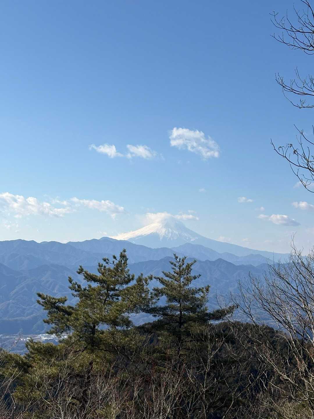 井戸バス停-軍刀利神社-茅丸-連行峰-醍醐丸-醍醐峠-和田 縦走コースの写真