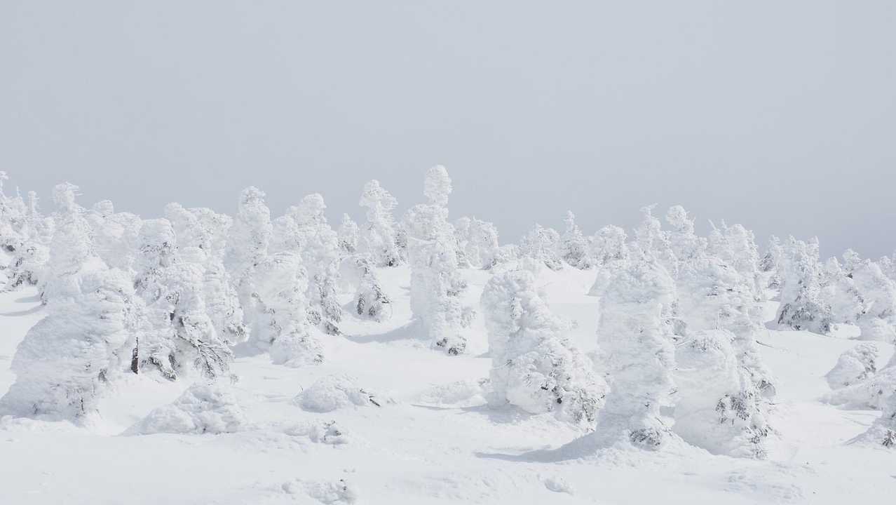 西吾妻山、スノーシューハイク の写真 21