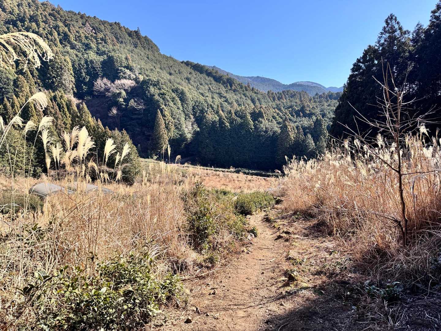 思う存分 氷瀑と富士山の眺めを満喫できた。
思い出に残る山歩きとなりました😊