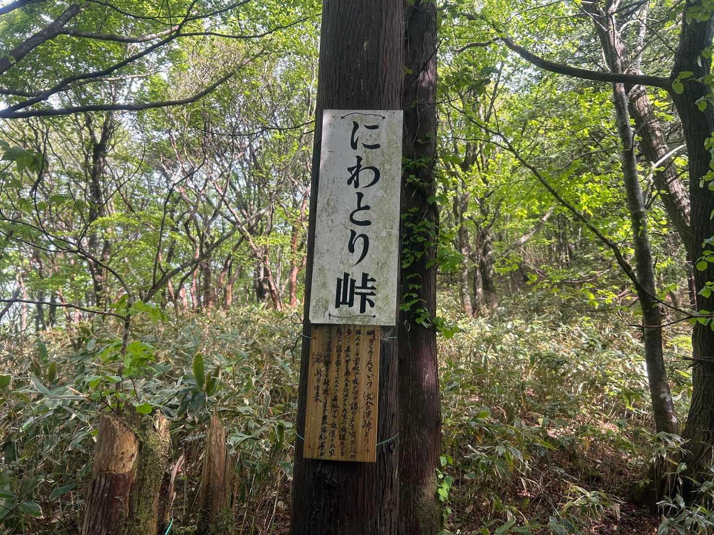 鶏峠-笠ヶ森山 周回コースの写真