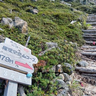 ここまで20分、ここから山頂まで50分のお気軽コース！
