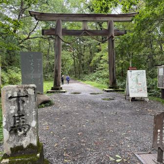 奥社の鳥居⛩️