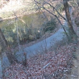 円良田湖まで下山してきました。