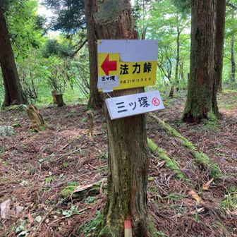 稜線のピーク、三ツ塚に到着