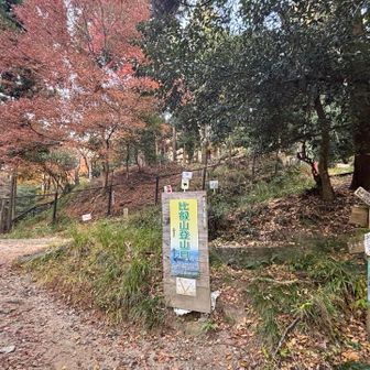 京都側🐻注意🪧多かった、無事下山😮‍💨