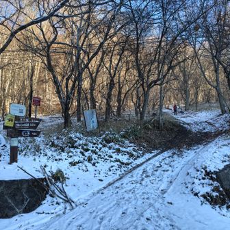 無事に車を停めてスタート。
王ヶ鼻にまっすぐ登りたいと思ったのだけど正解のルートかわからずタデ河原から入ります。