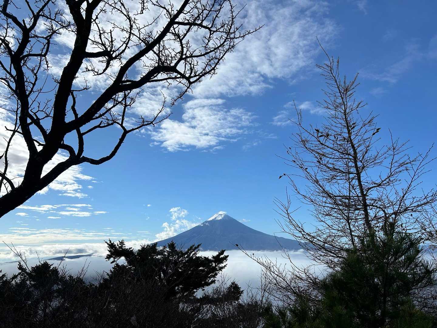 憩いの森公園駐車場-三ッ峠山 往復コースの写真
