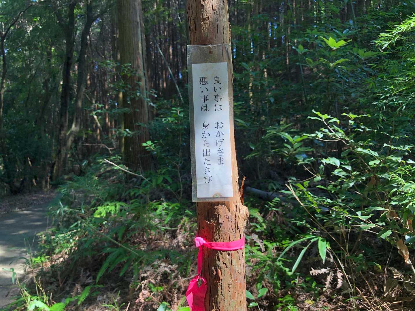 鍛治ヶ峰 周回コースの写真