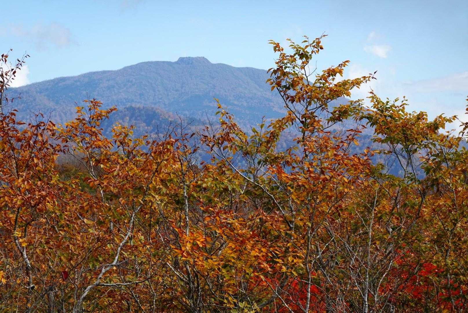 妙高山