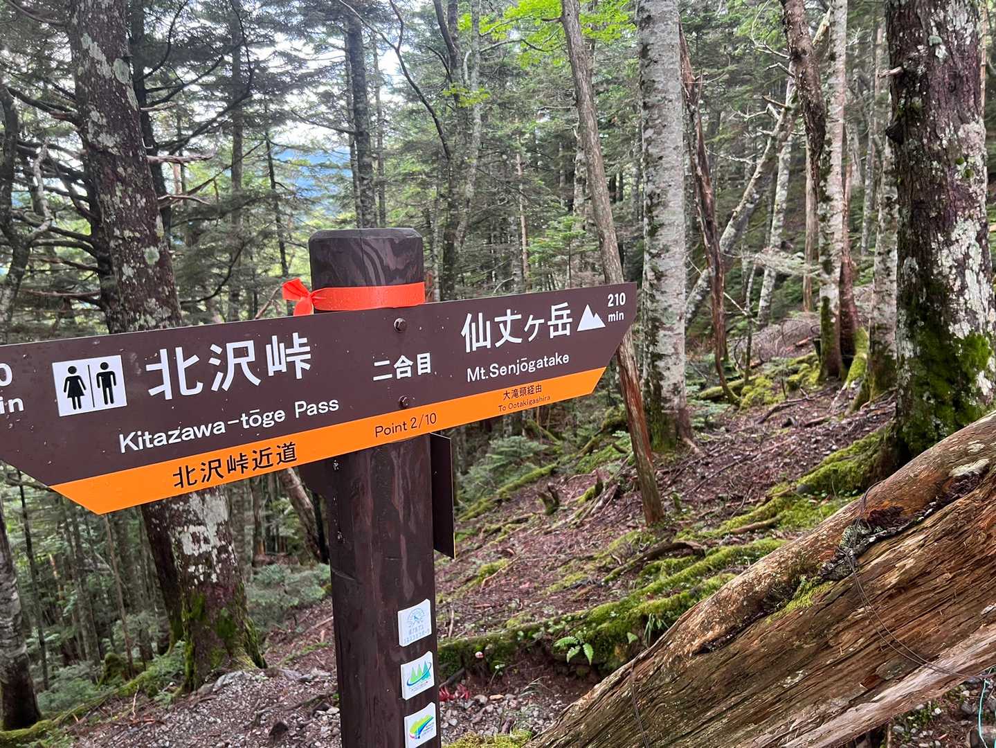 2合目。
ここで北沢峠からの道と合流