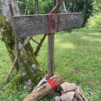 少し歩き足りなくて春嶽山まで🏃‍♂️
