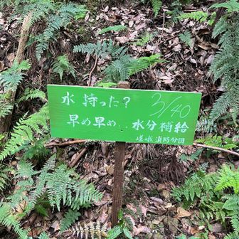 標語看板が登りの目安👀