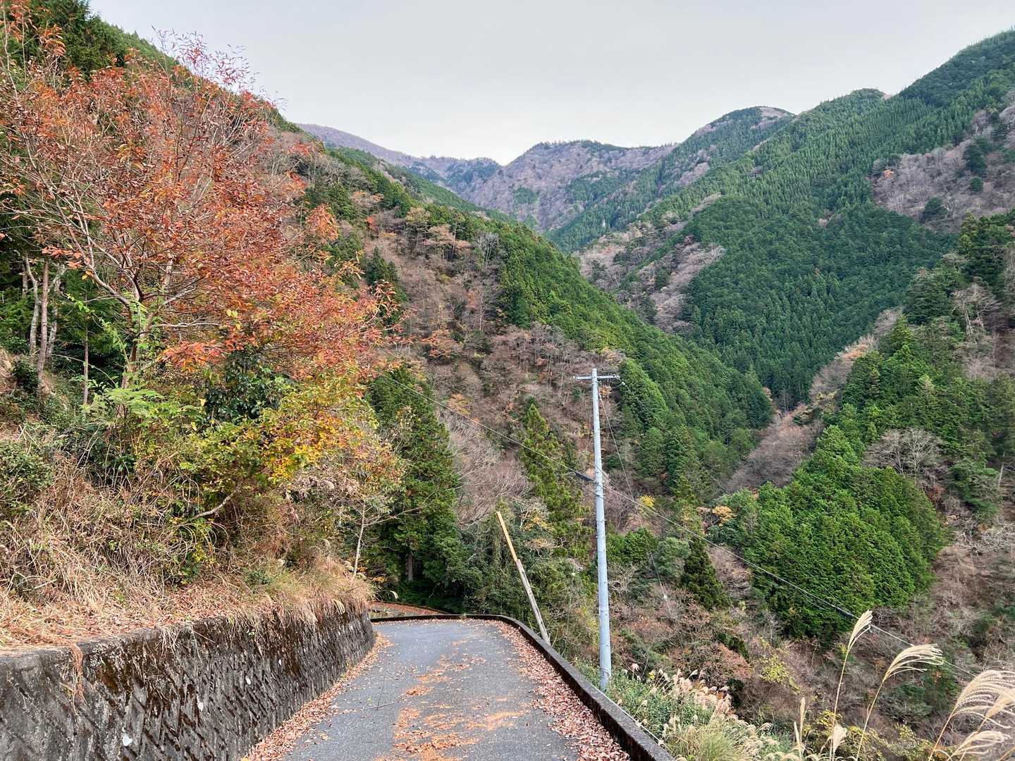 この林道を下りてきました。
山深いです。
