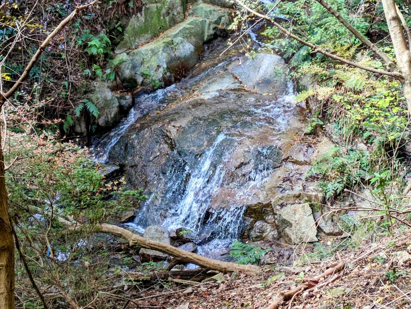 沢沿いに歩く🚶