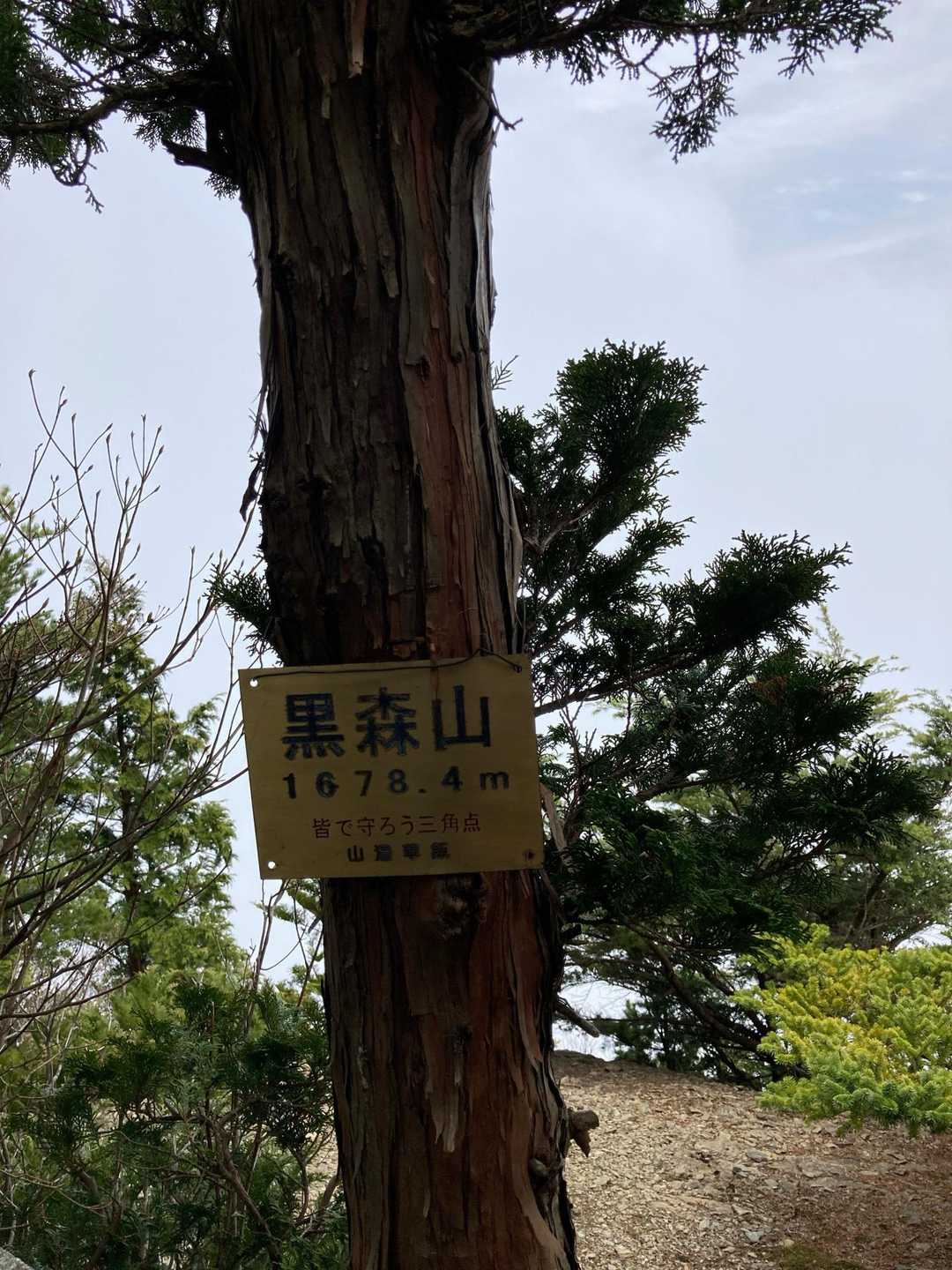 黒森山到着
誰かが苦労森山と言っていた