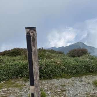 登頂