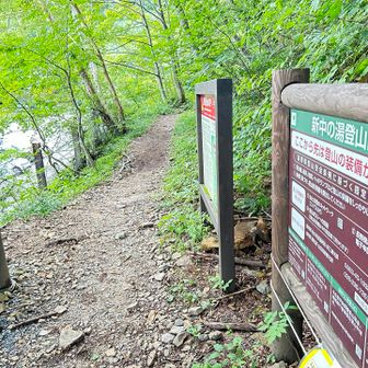 登山口まできました

路肩にたくさん車が停めてあります。どこかに中の湯温泉へのショートカットがあるはずなので少し探しました