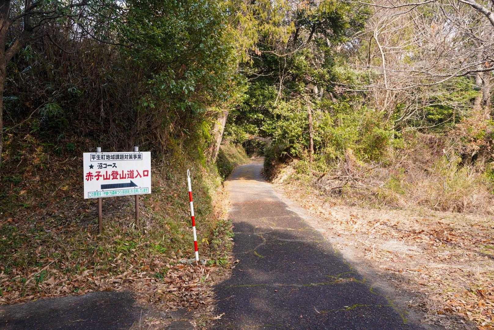 ここまで車で来れるらしいけど、道細すぎ
歩くのが正解だな
