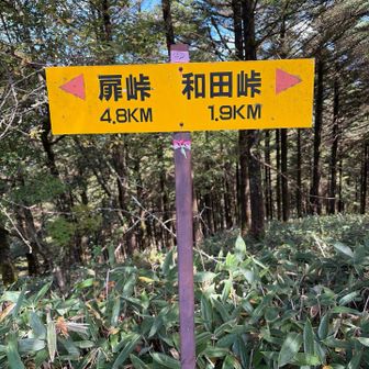 上りでなんとなく通り過ぎてしまった、和田峠山北峰はこちらの道標付近が山頂になっていました。山頂標識は見当たりませんでしたが…
(追記)ここから登る小道があるらしく、そこに山頂標識があり三峰山も見えるそうです。ちょっと悔しい…