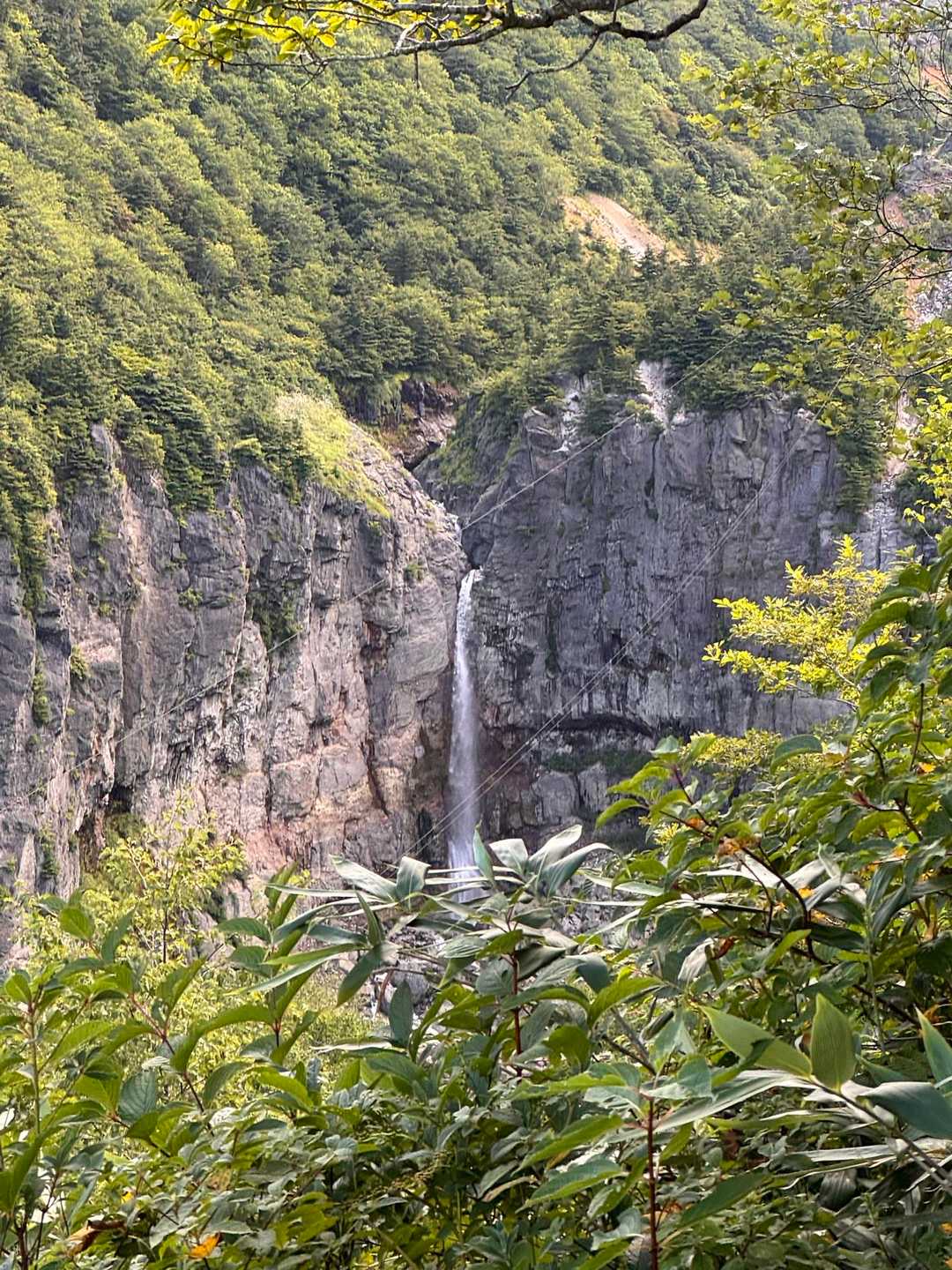 白糸の滝だ！