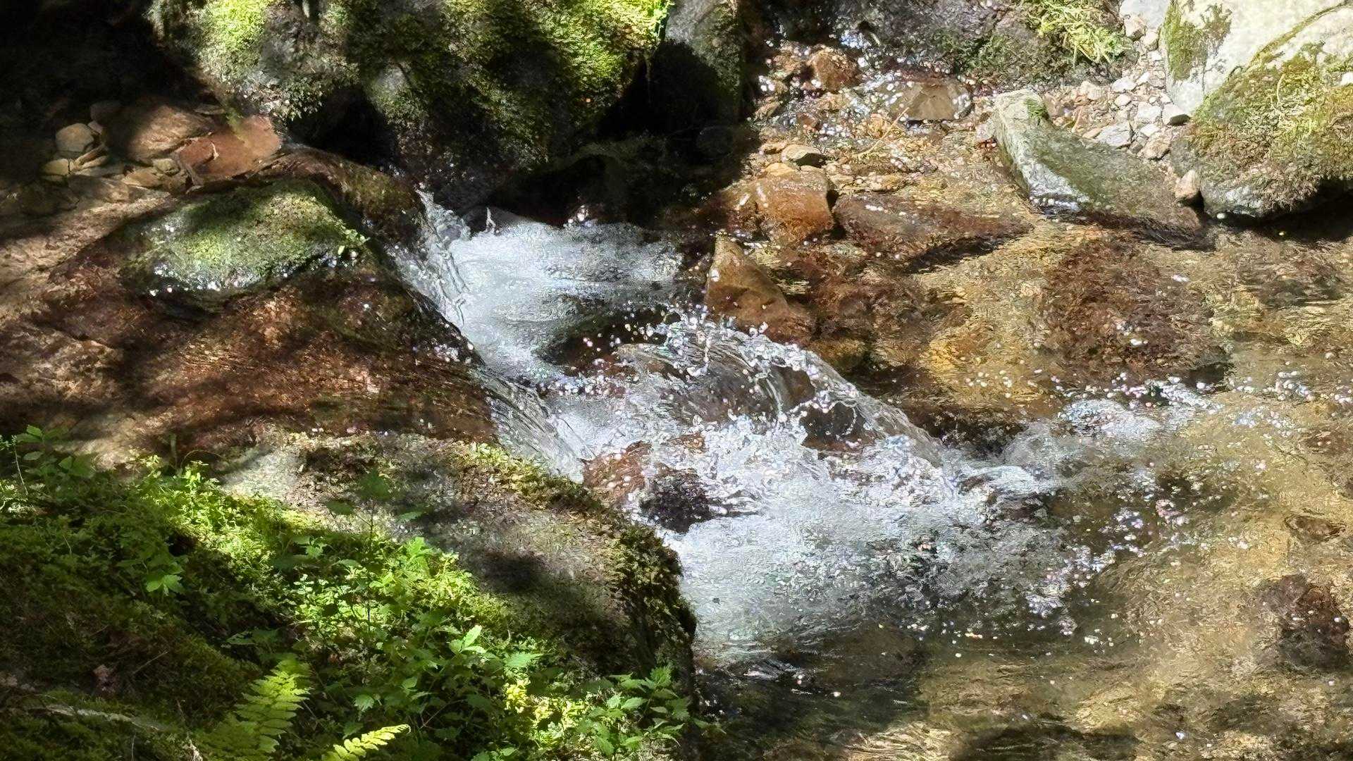癒しのミニ飛沫✨✨