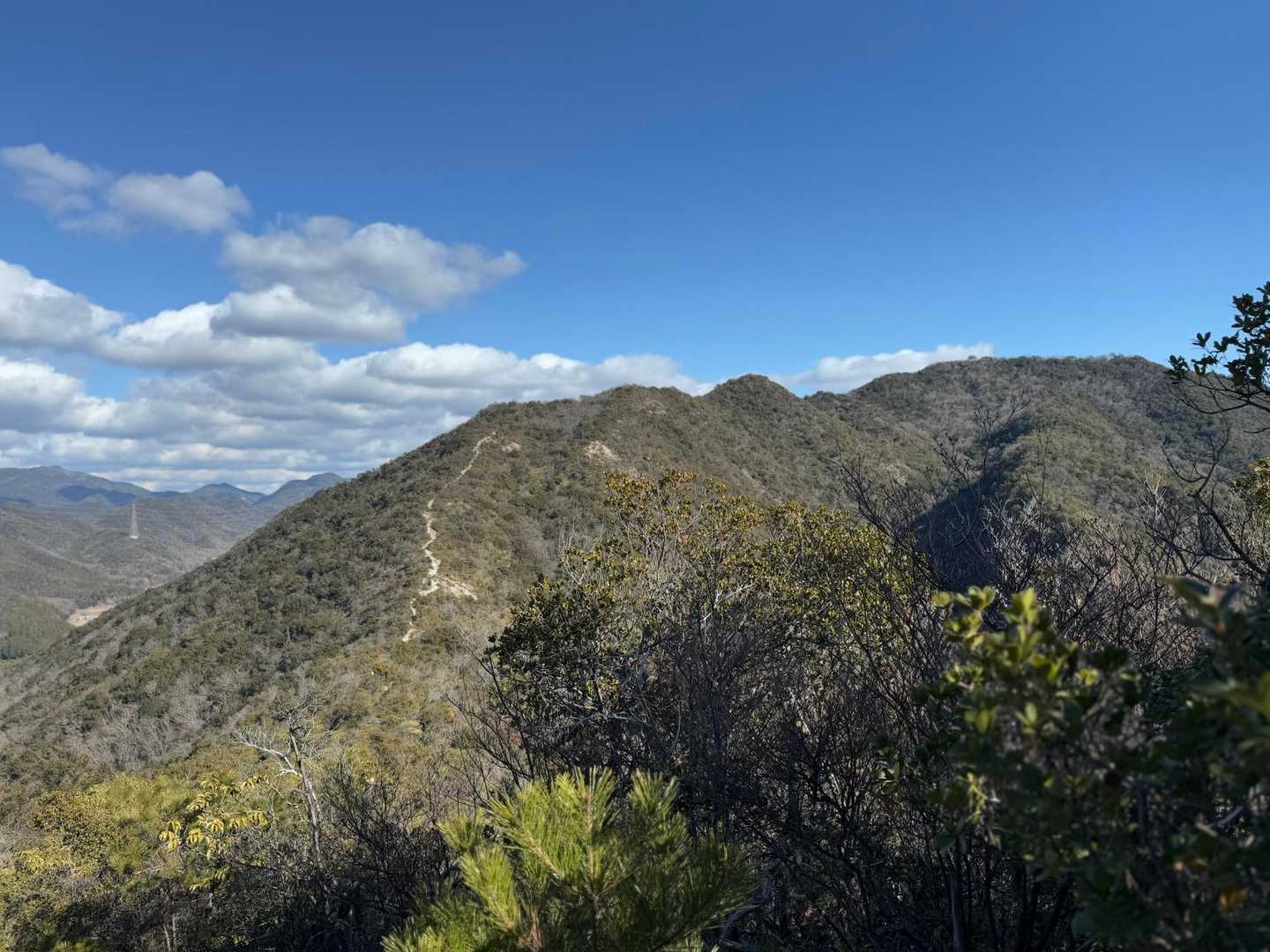 山口登山口-三草山 往復コースの写真