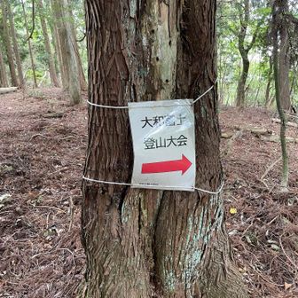 大会があったのかな？ある意味道標にもなって助かる^_^