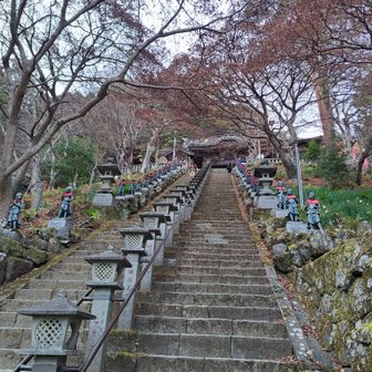 大山寺経由で下山