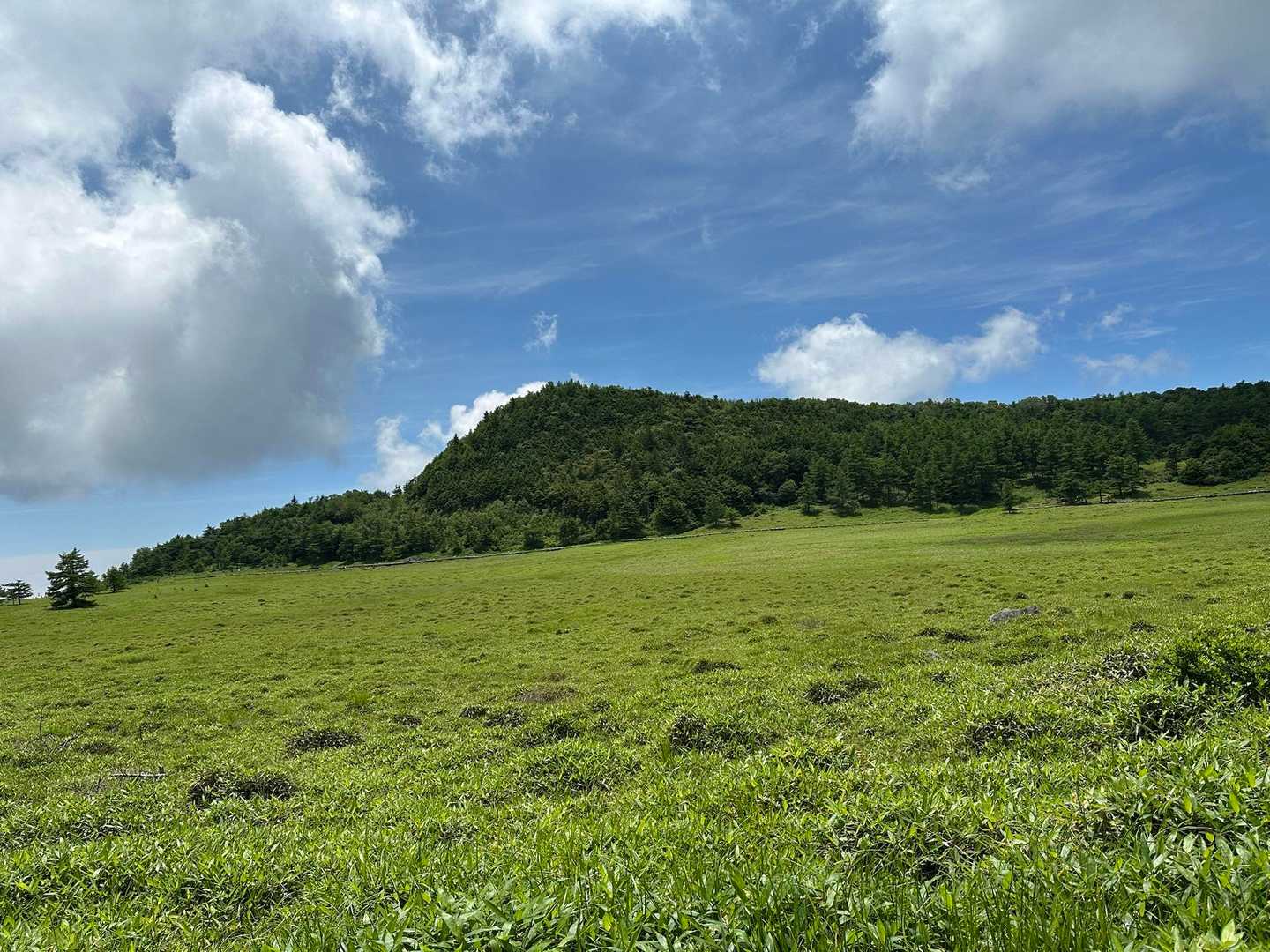 篭ノ登山-西篭ノ登山-池ノ平湿原入口-鏡池-三方ヶ峰-見晴 縦走コースの写真