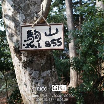 駒山山頂。眺望なし。