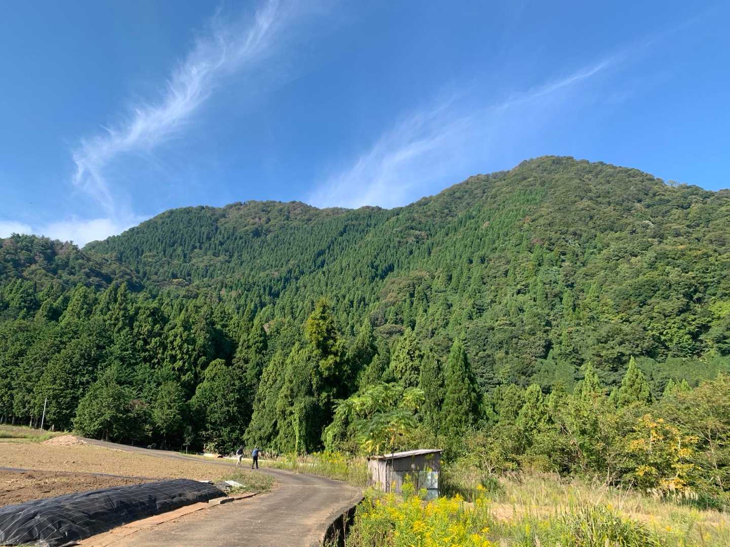登った青葉山が見えました。