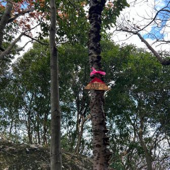 三座目、神酔石（かんすいし）
登山口から15分