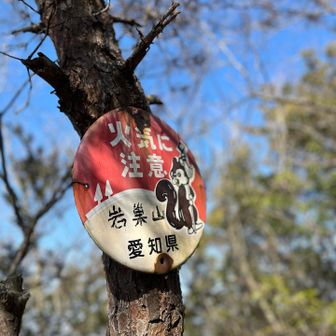 元岩巣山から少し歩いて岩巣山到着！
ここも看板が見当たらず💦
この標識しかなかった🐿️