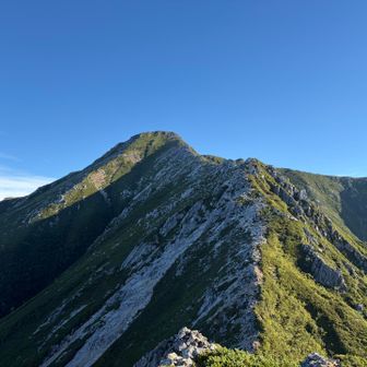 常念岳だと思ってたら偽ピーク。
さらにその奥だった