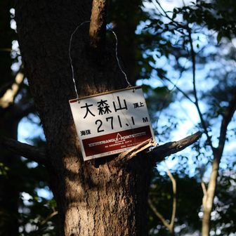 大森山山頂