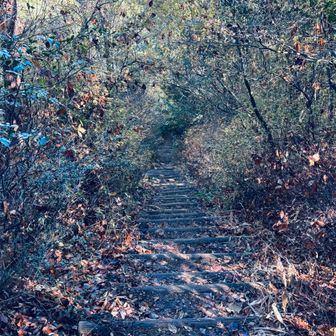 激下りの階段。
これを降りたらもう上がらないだろう…
なんて思っていたら、こんな感じの階段を登る区間が出てきたり…

ここに差し掛かる前の休憩所でメスティンで米を炊いてる70手前くらいの男女を見かけました。

このエリアではバーナー禁止の表示をいくつも見かけたんですが気づかなかったのか？
それとも無視か？
無視なら悪質。