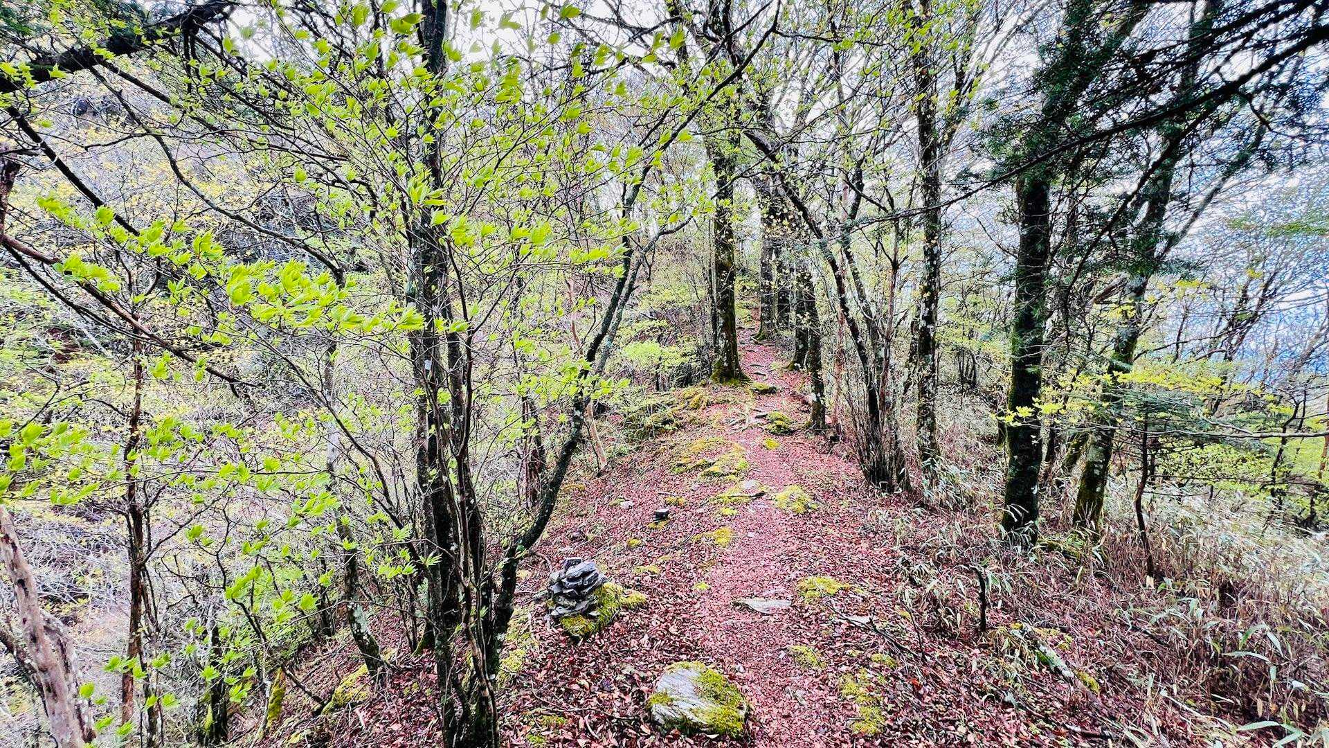 西門山-稲叢山 周回コースの写真