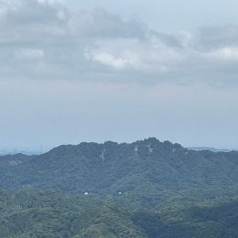 奥に見えるのは鋸山🏔️