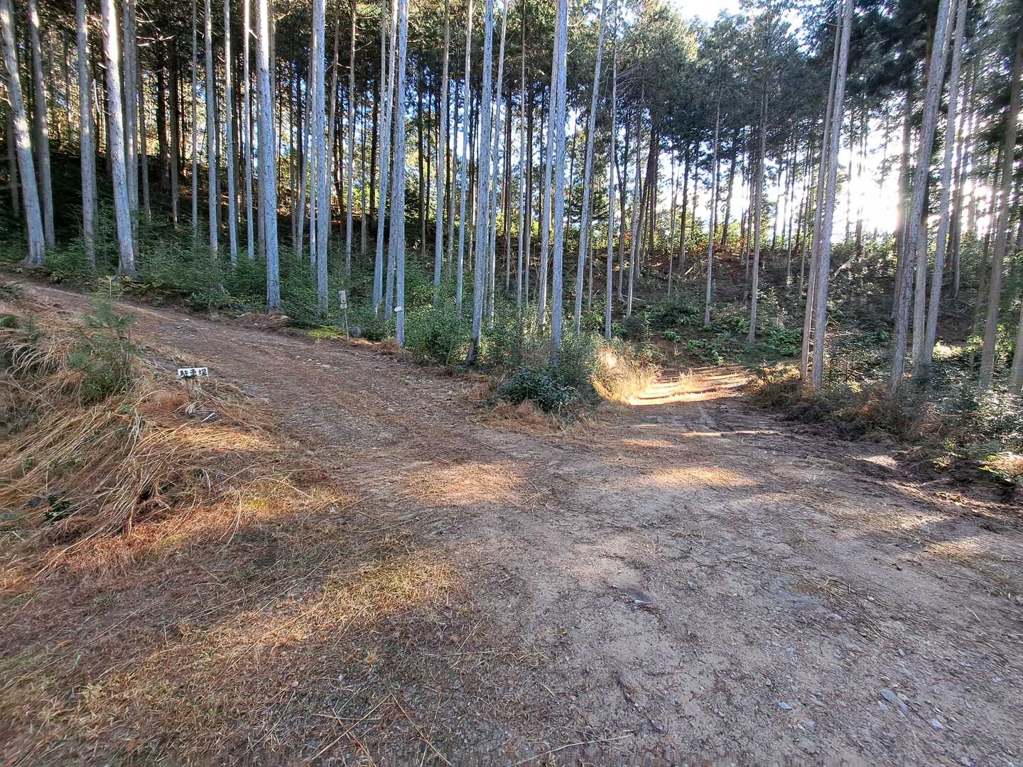 左が駐車場、
真ん中が登山口
右は？
(多分、真ん中＋右も
林業作業路)
